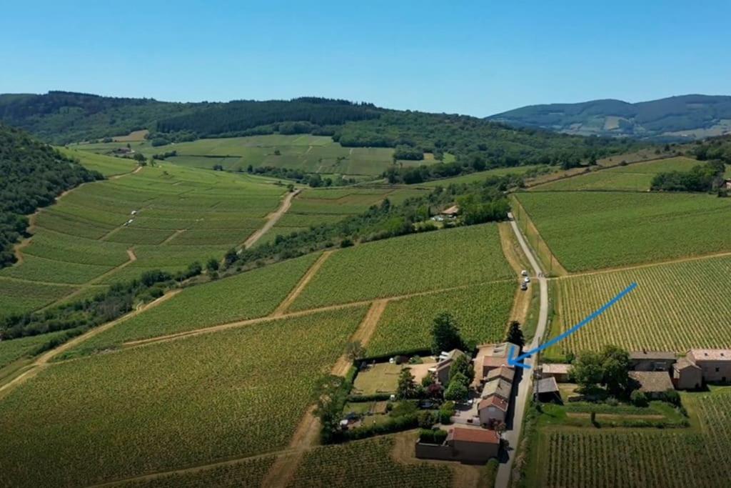 Villa Le Tinailler Grand Standing Au Coeur Des Vignes Prissé Esterno foto