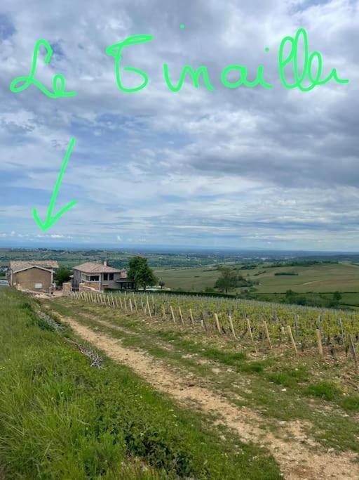 Villa Le Tinailler Grand Standing Au Coeur Des Vignes Prissé Esterno foto