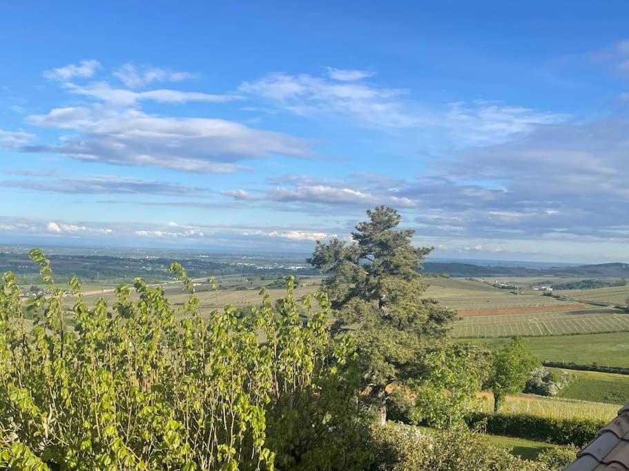 Villa Le Tinailler Grand Standing Au Coeur Des Vignes Prissé Esterno foto