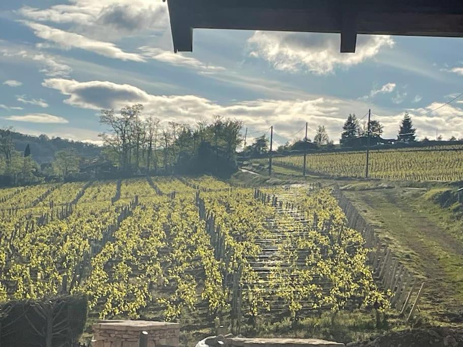 Villa Le Tinailler Grand Standing Au Coeur Des Vignes Prissé Esterno foto